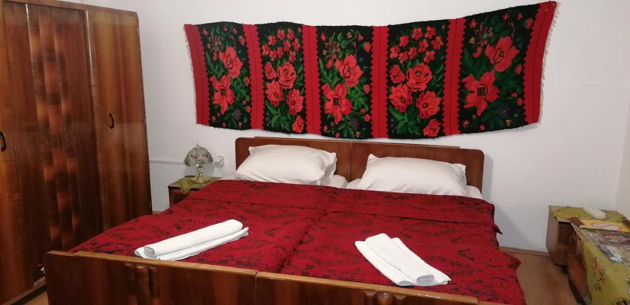 Etno Apartmani "Vlaska Kuca" Kladovo Extérieur photo