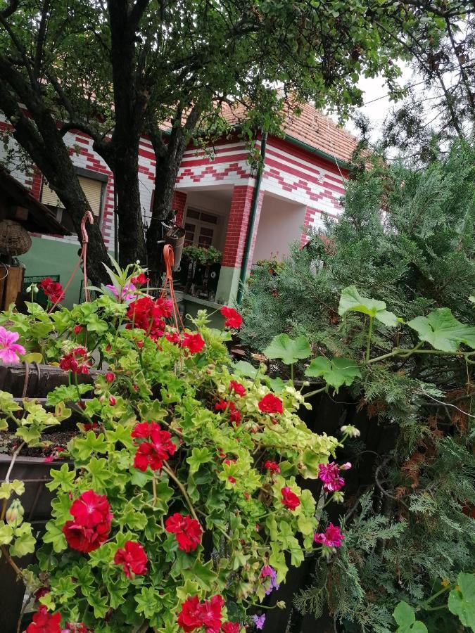 Etno Apartmani "Vlaska Kuca" Kladovo Extérieur photo
