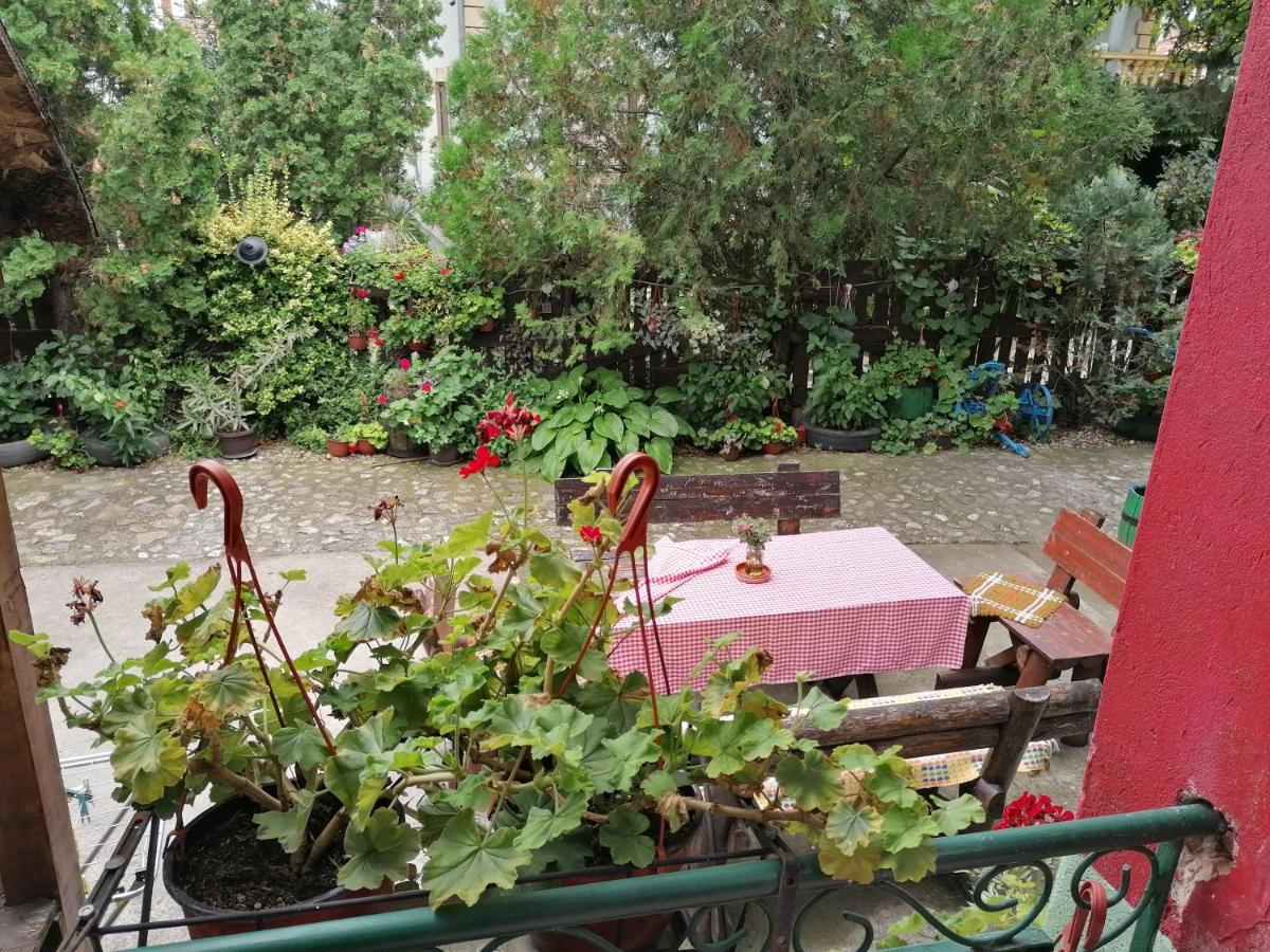 Etno Apartmani "Vlaska Kuca" Kladovo Extérieur photo